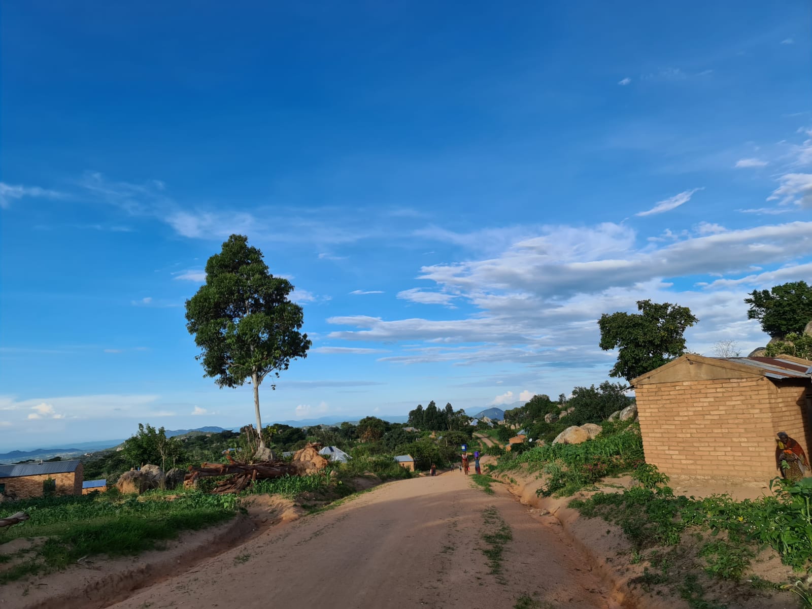 Pe urmele elevilor din satul Ilala Simba, adică de acolo unde doarme leul
