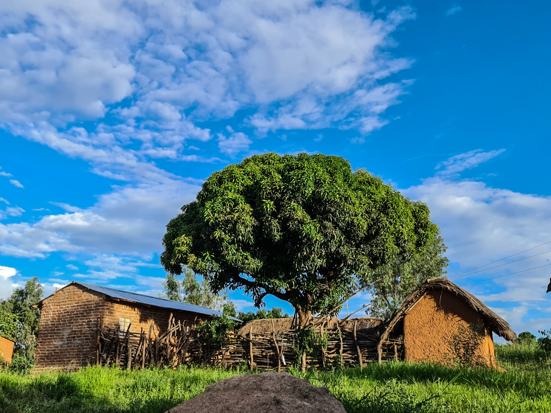 Liceul „Dimitrios” din Magubike – locul unde școala începe cu o sapă