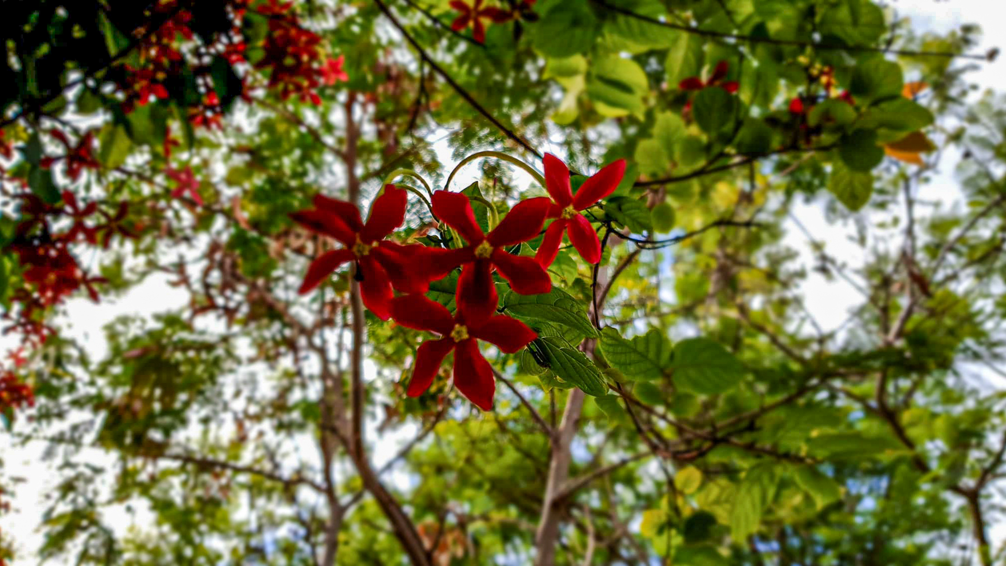 Este și ceva frumos aici?