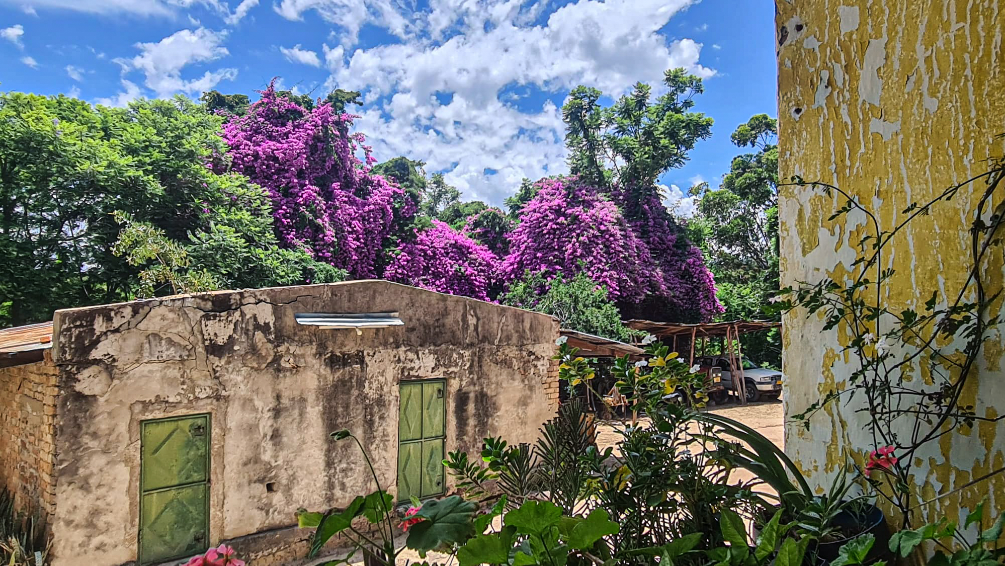 Este și ceva frumos aici?