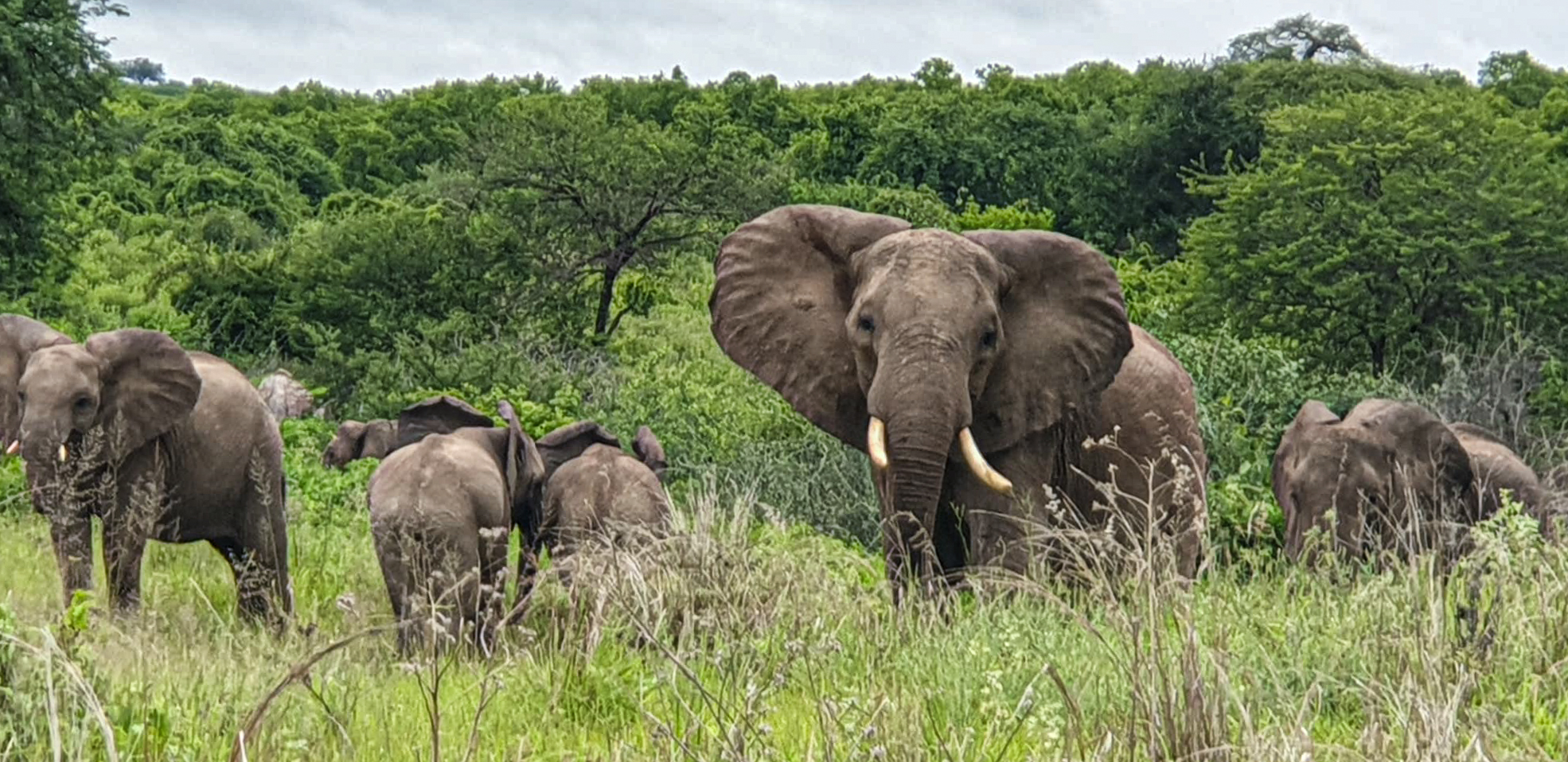 Este și ceva frumos aici?