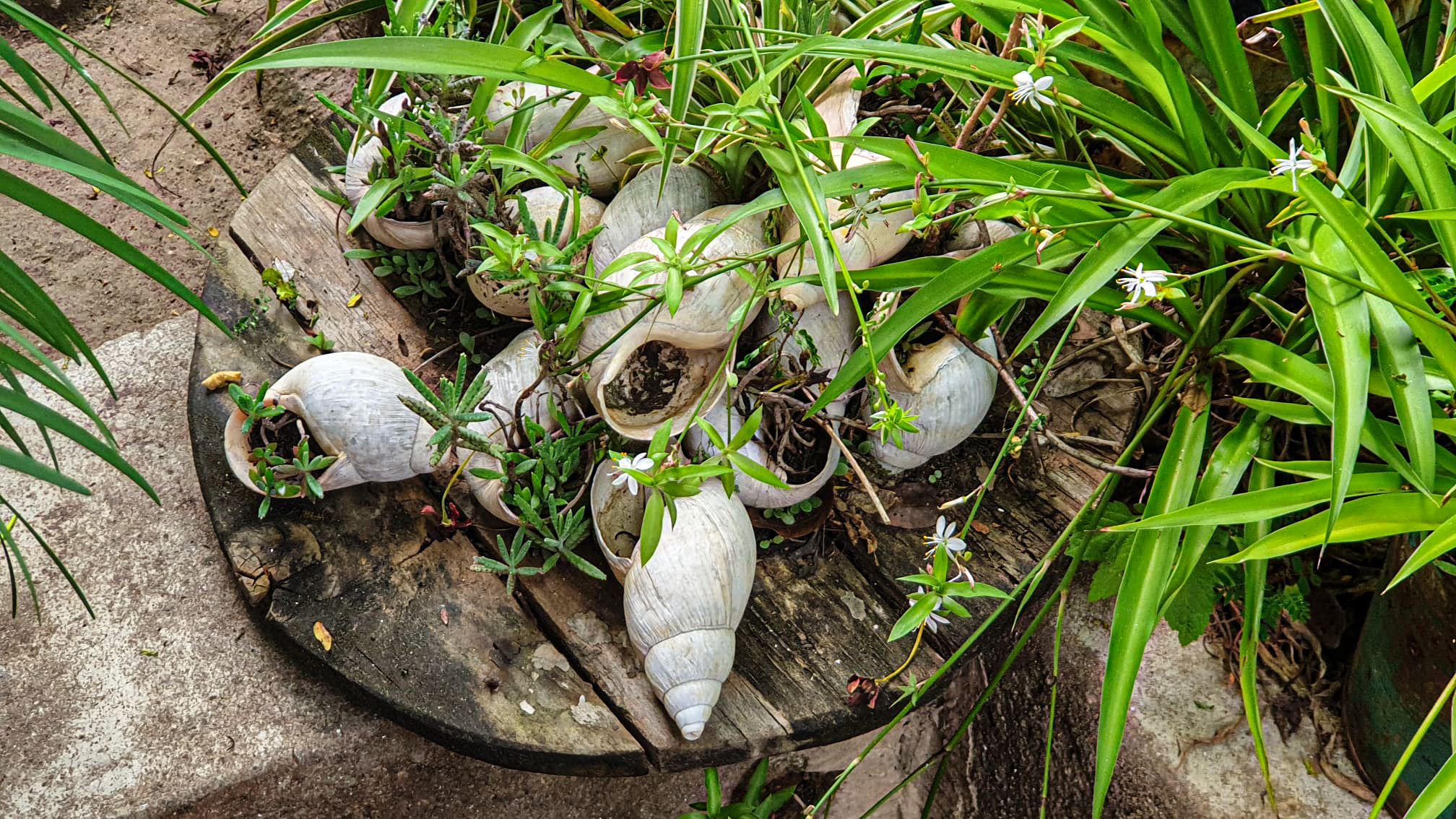 Este și ceva frumos aici?