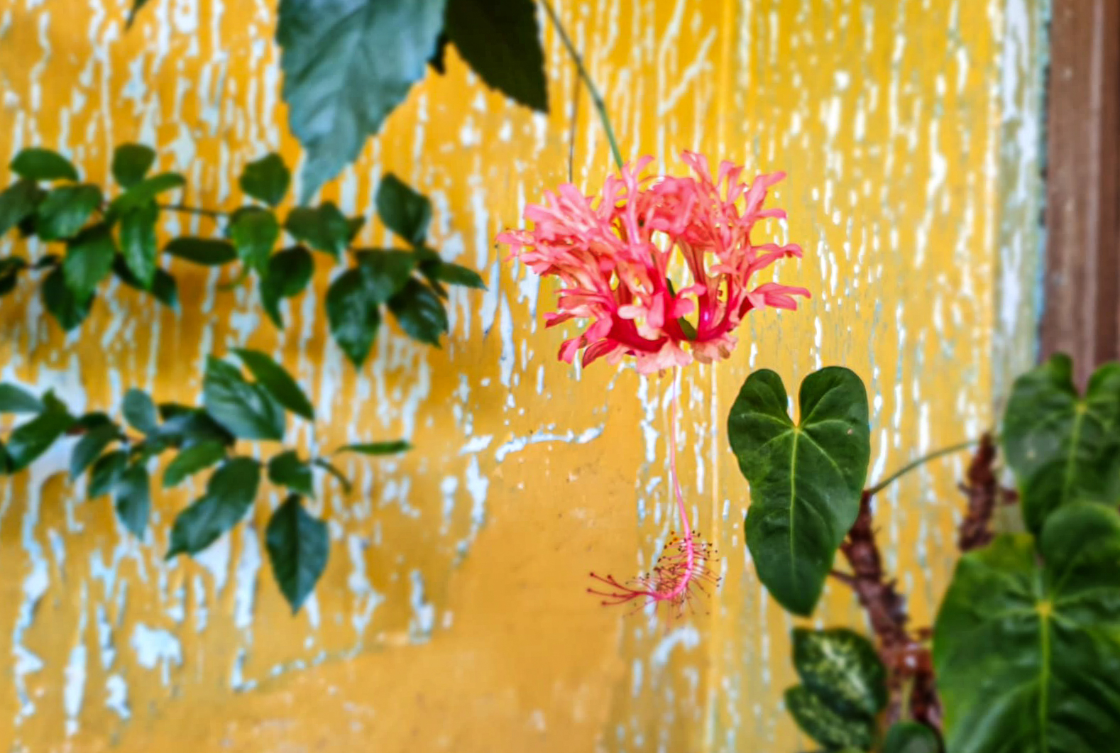 Este și ceva frumos aici?