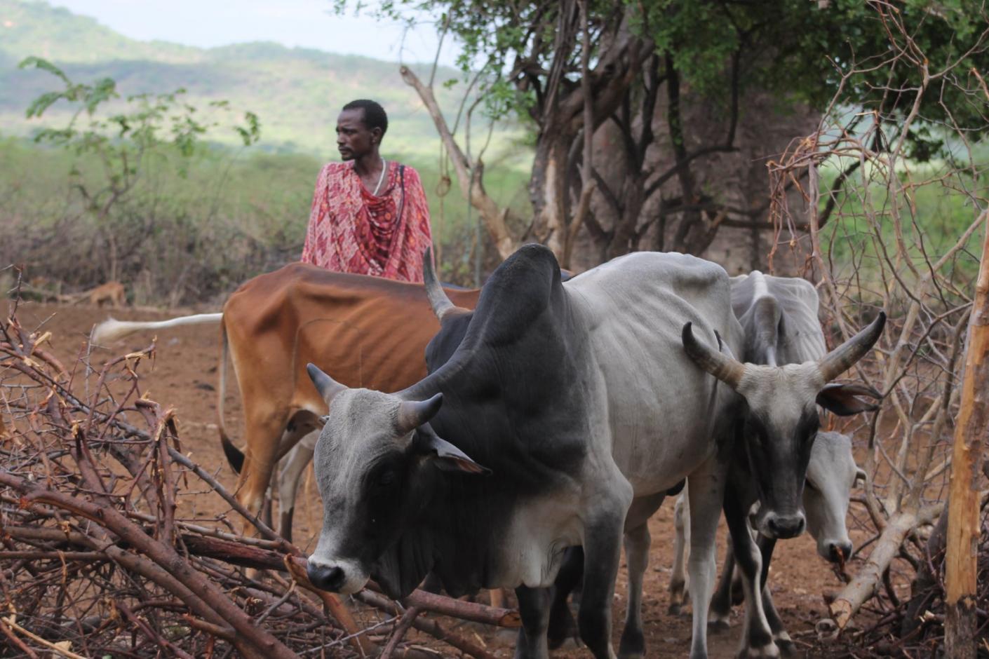 135 de persoane au donat 48.891 lei pentru lucrarea Centrului Misionar Ortodox din Kidamali