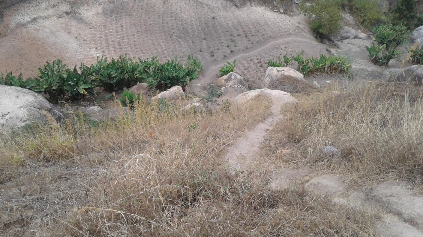 Cum este Biserica Ortodoxă din Tanzania?