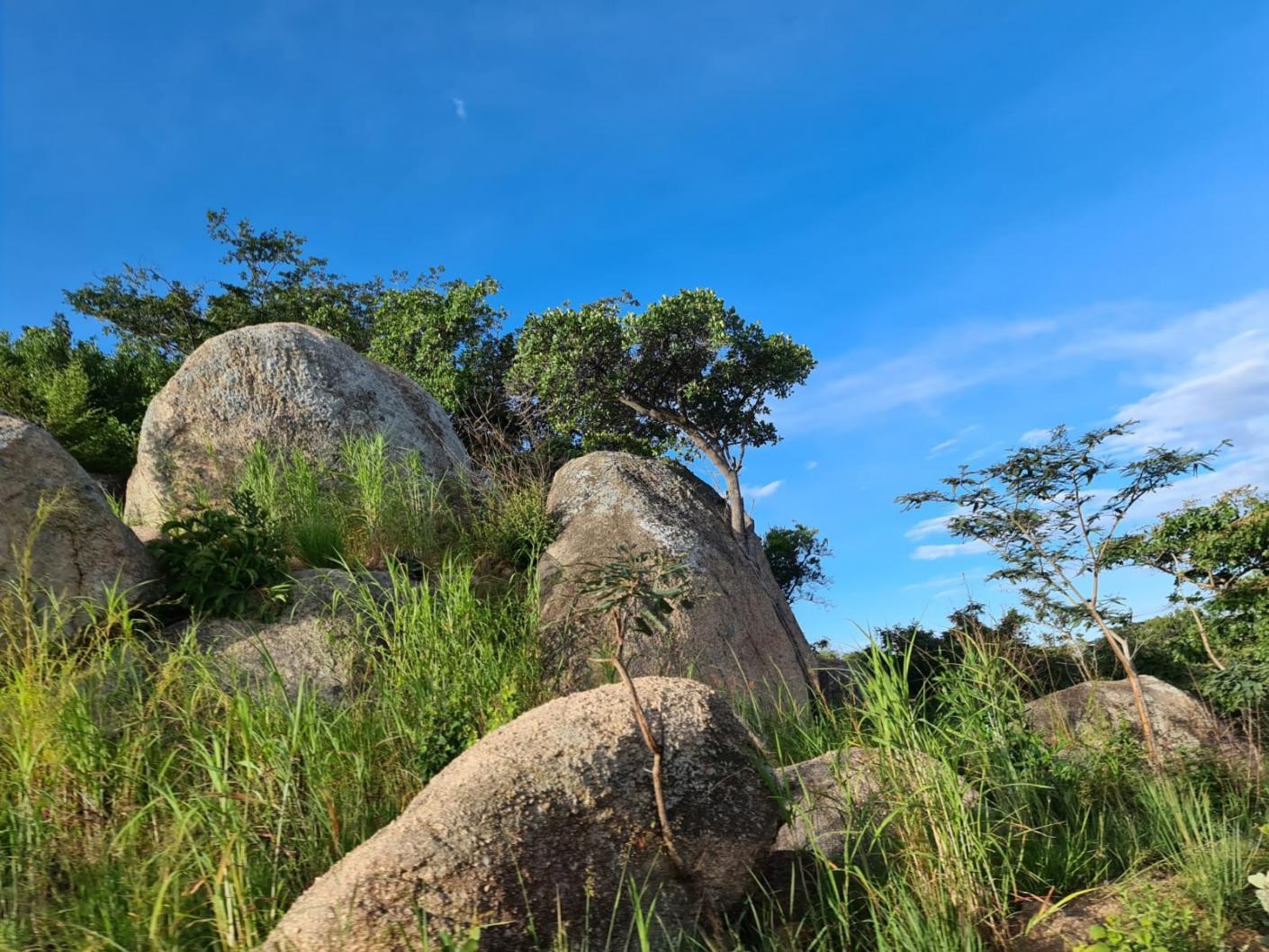 Pe urmele elevilor din satul Ilala Simba, adică de acolo unde doarme leul