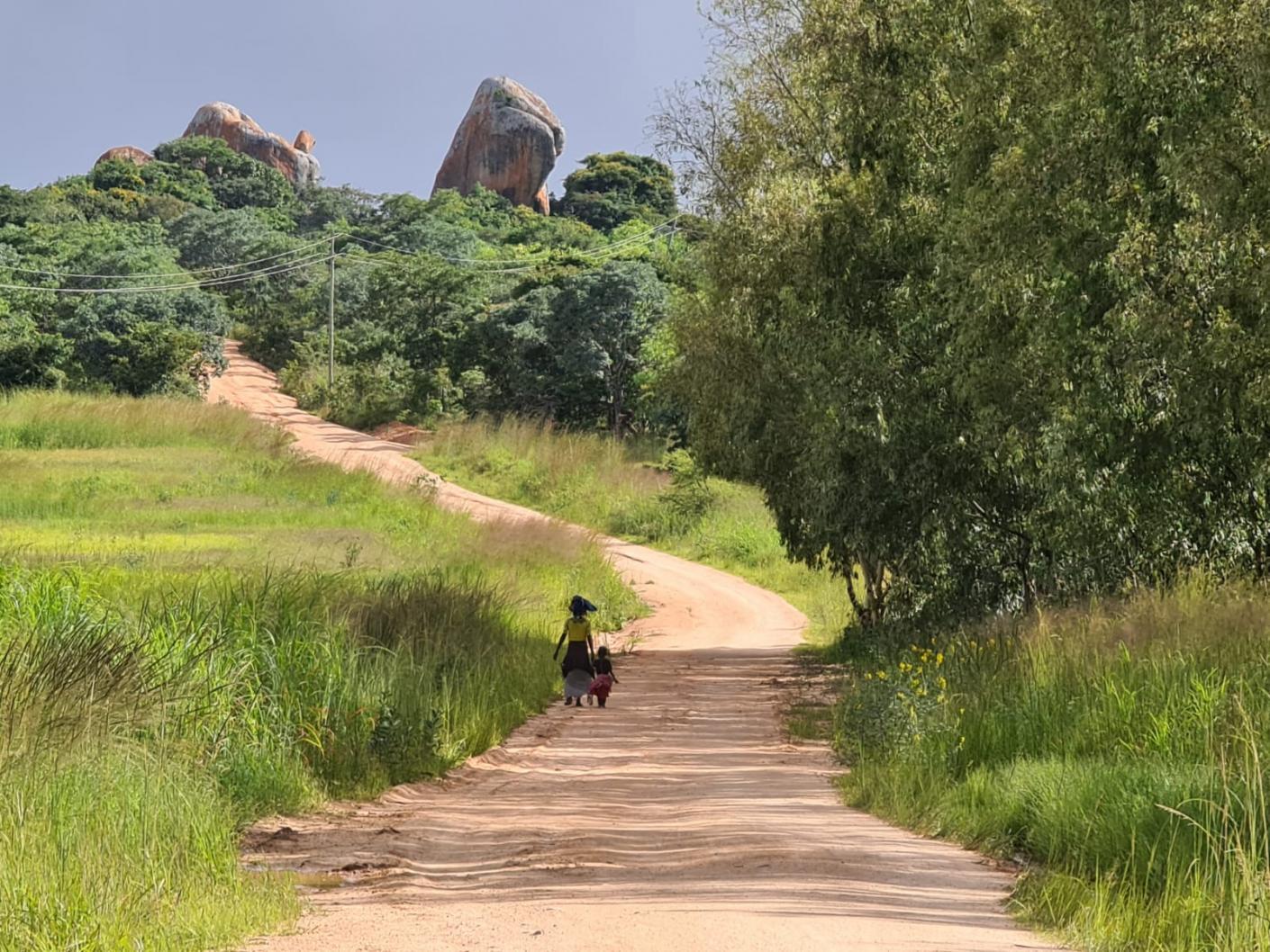 Pe urmele elevilor din satul Ilala Simba, adică de acolo unde doarme leul