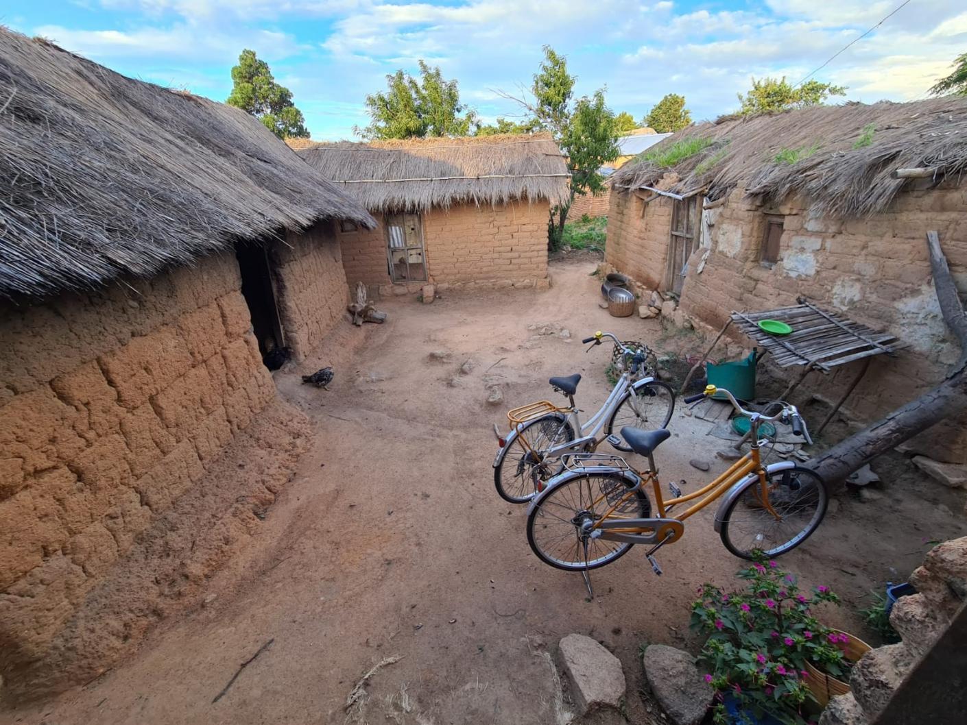 Pe urmele elevilor din satul Ilala Simba, adică de acolo unde doarme leul