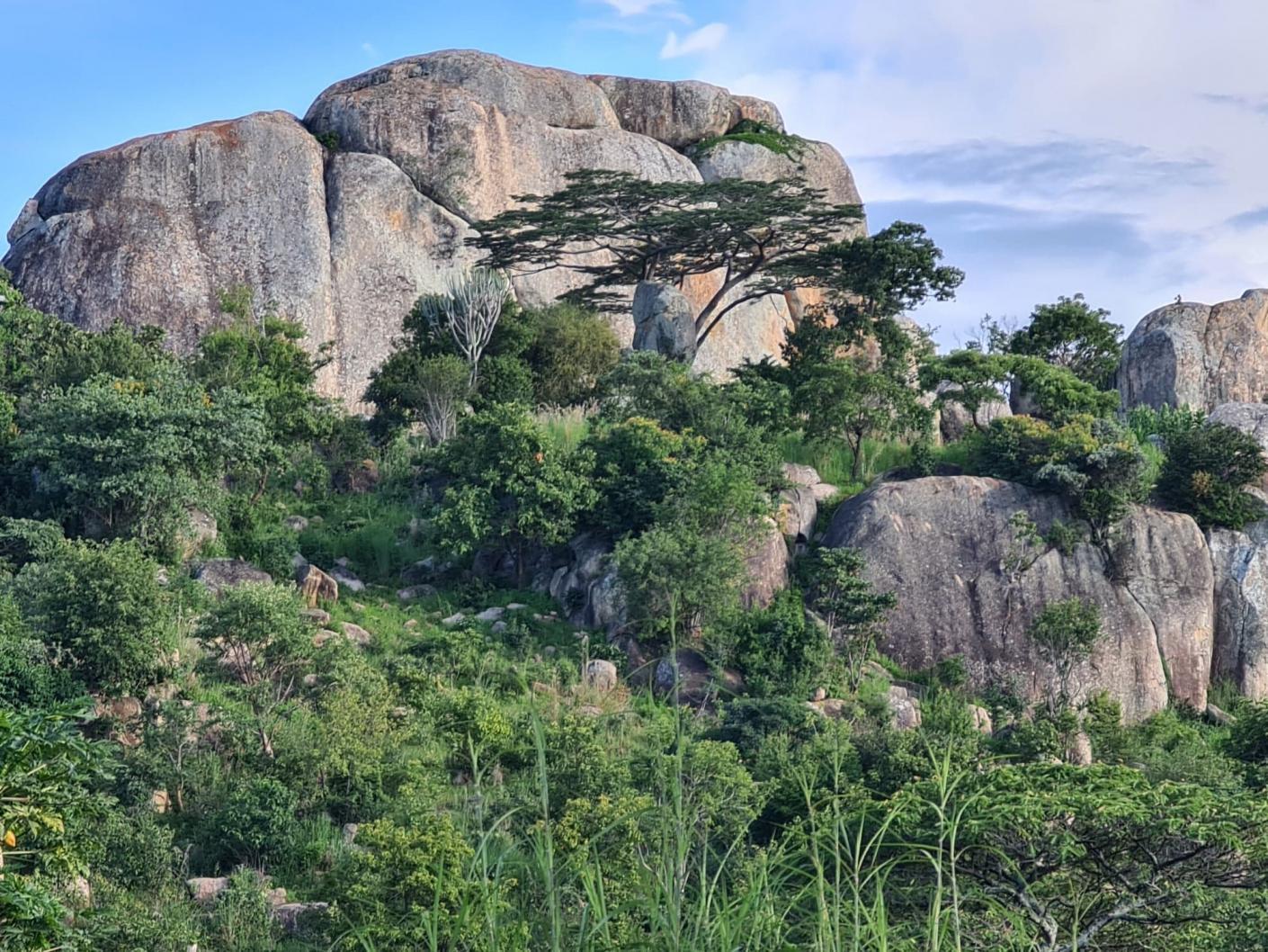 Sfântul Ioan Teologul, hramul parohiei de la Ibogu