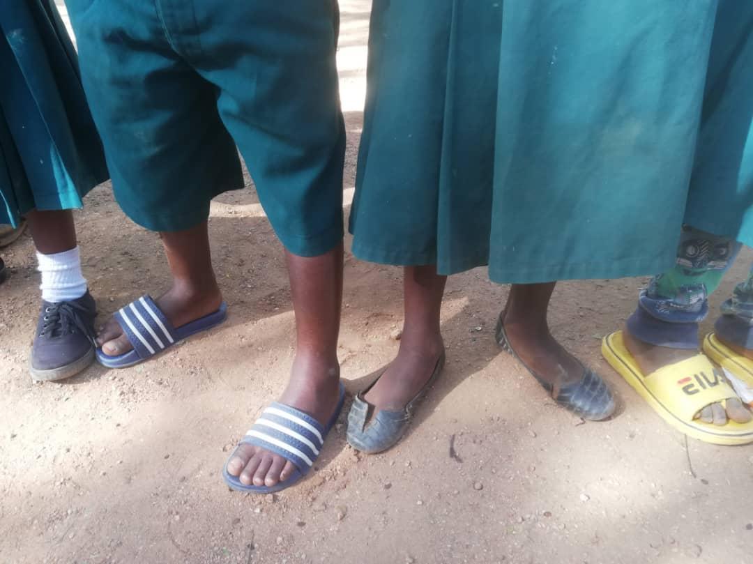 Daruri multe și 12 noi burse pentru elevii de școală primară