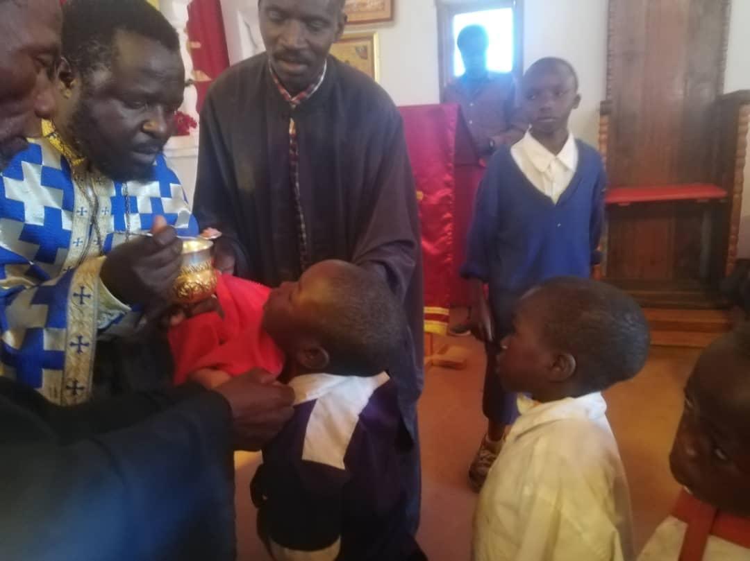 Ilalasimba, locul în care dorm leii