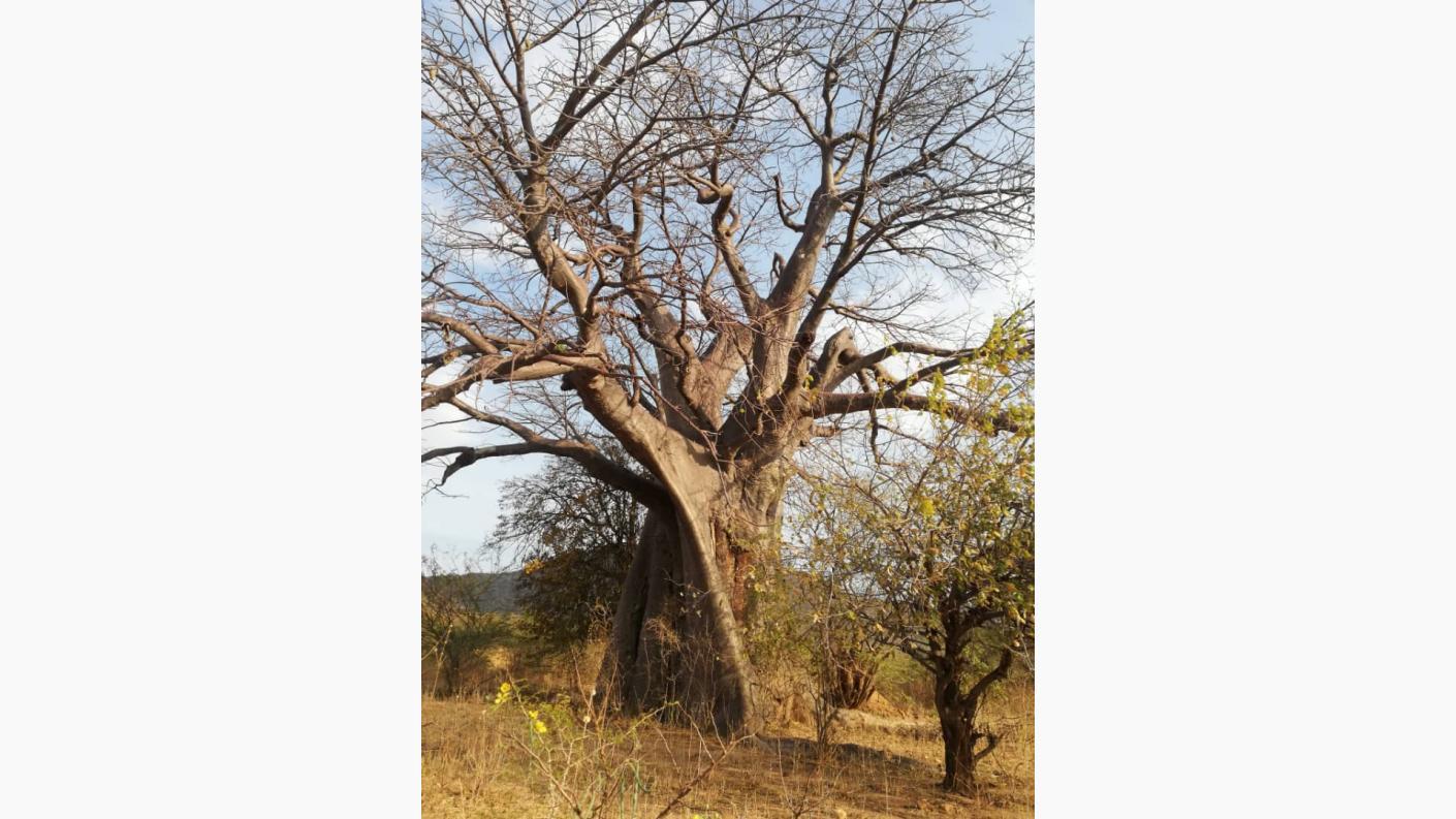 De „Tăierea Capului Sf. Ioan Botezătorul” am sărbătorit hramul în cea mai îndepărtată parohie a noastră din Tanzania