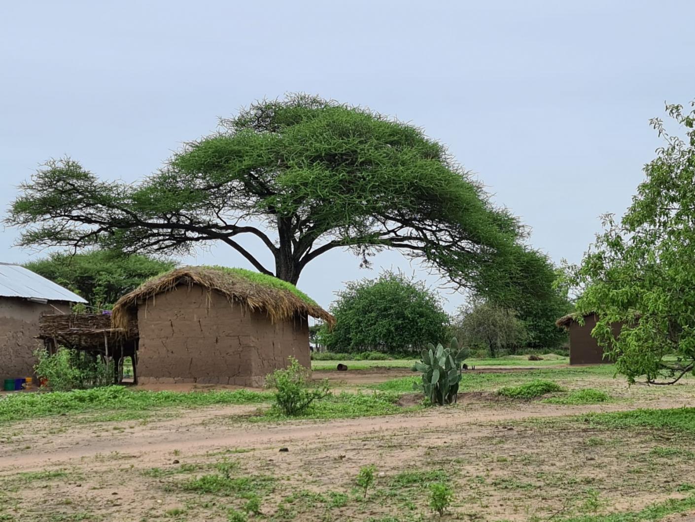 Vizită în parohiile de la Mafuloto şi Mlowa