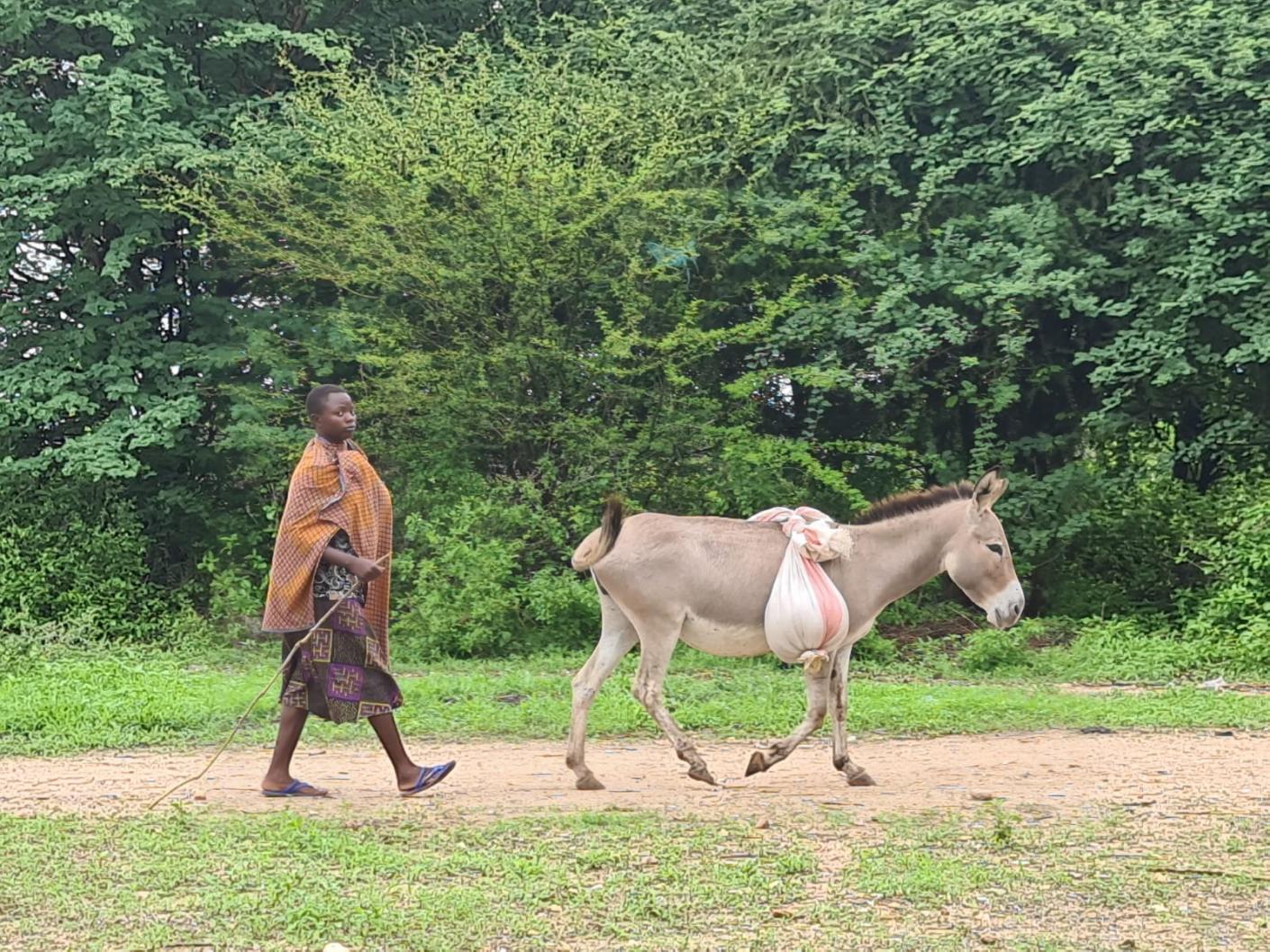 Vizită în parohiile de la Mafuloto şi Mlowa