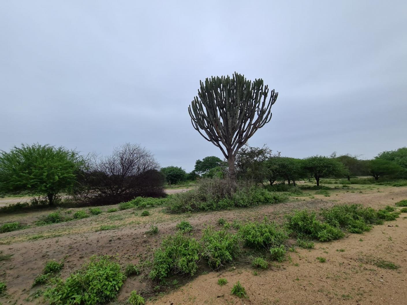 Vizită în parohiile de la Mafuloto şi Mlowa