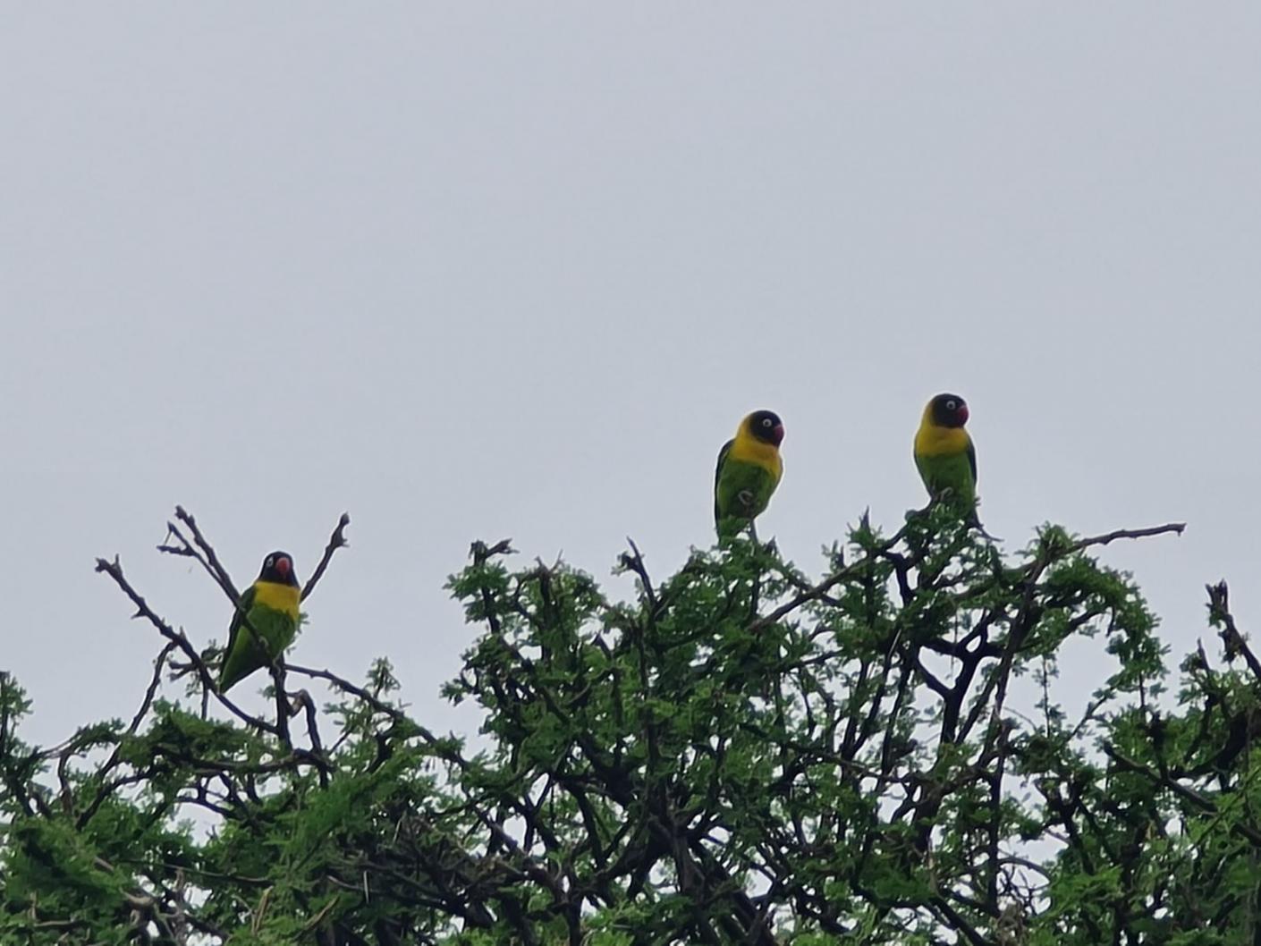 Vizită în parohiile de la Mafuloto şi Mlowa