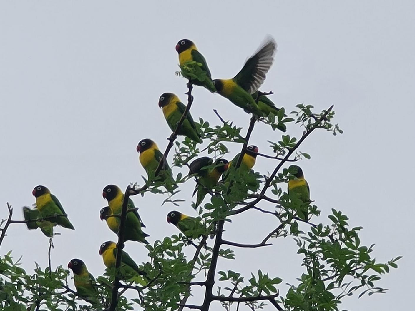 Vizită în parohiile de la Mafuloto şi Mlowa