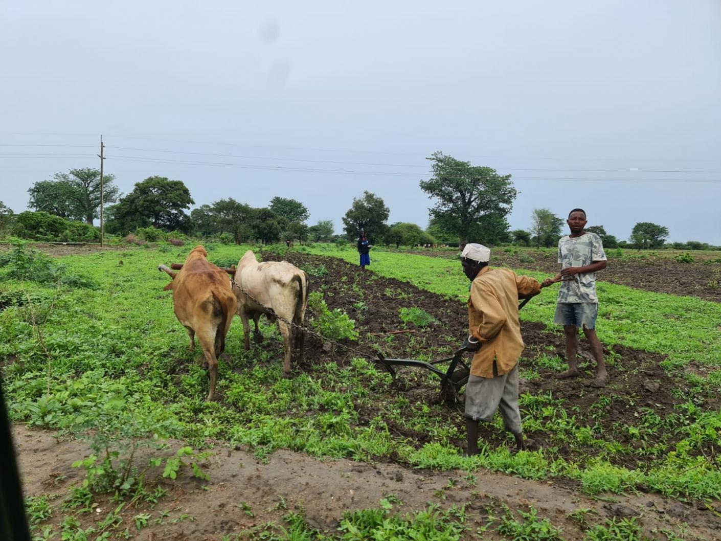 Vizită în parohiile de la Mafuloto şi Mlowa