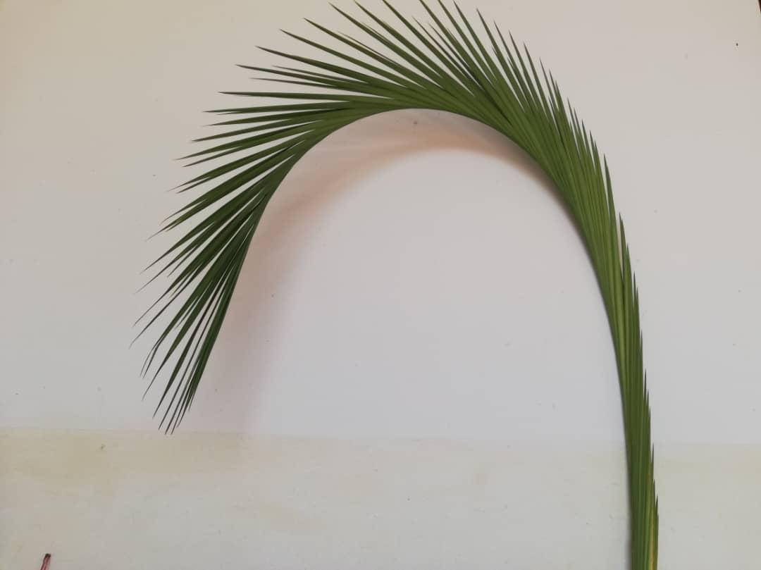 Jumapili ya Matawi sau Duminica Floriilor a fost prilej de mare bucurie şi la Centrul Misionar din Kidamali