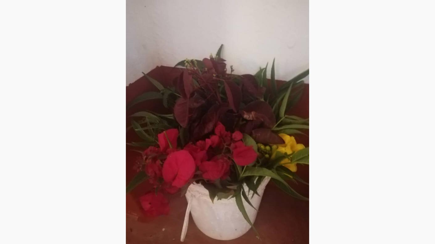 Ilalasimba - Acolo unde Leul Doarme