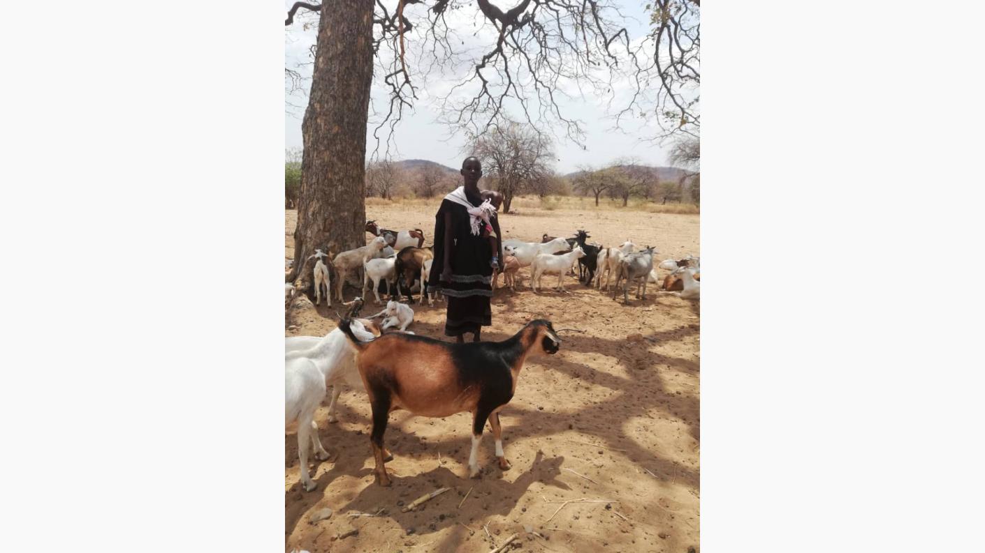 Despre capre ca despre mici comori