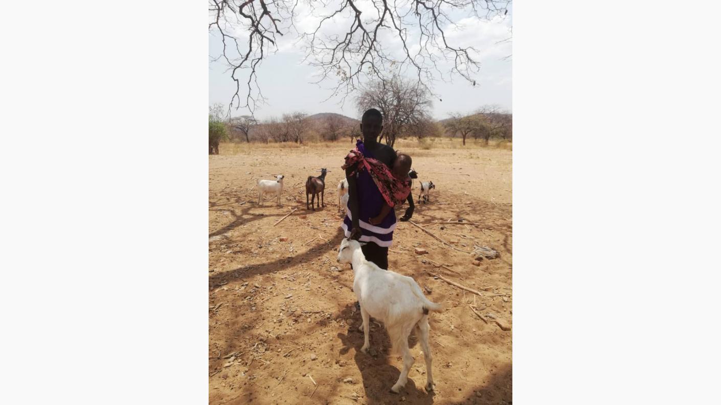 Despre capre ca despre mici comori