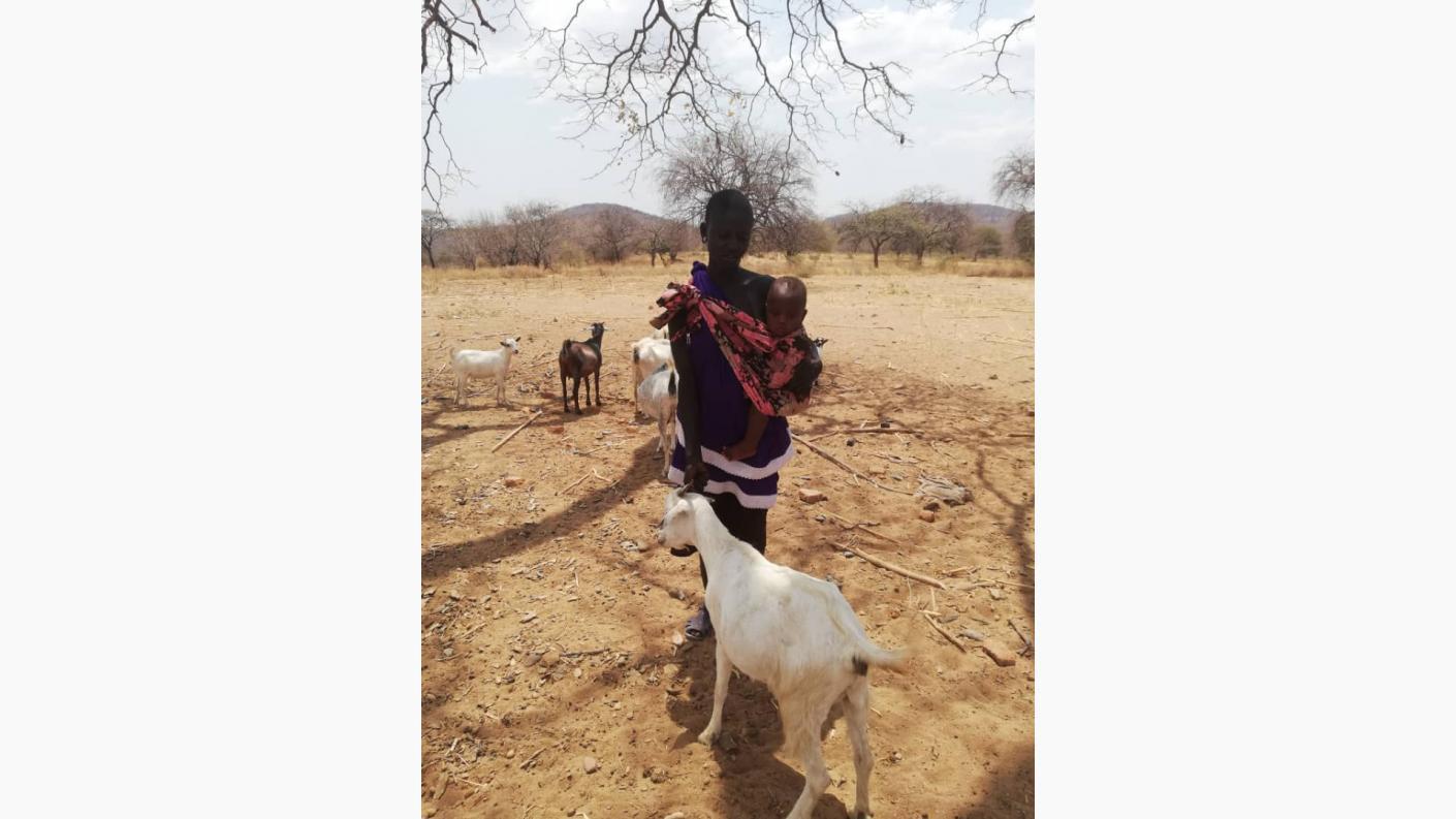 Despre capre ca despre mici comori