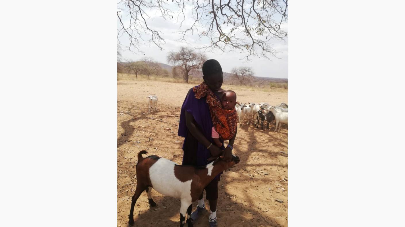 Despre capre ca despre mici comori