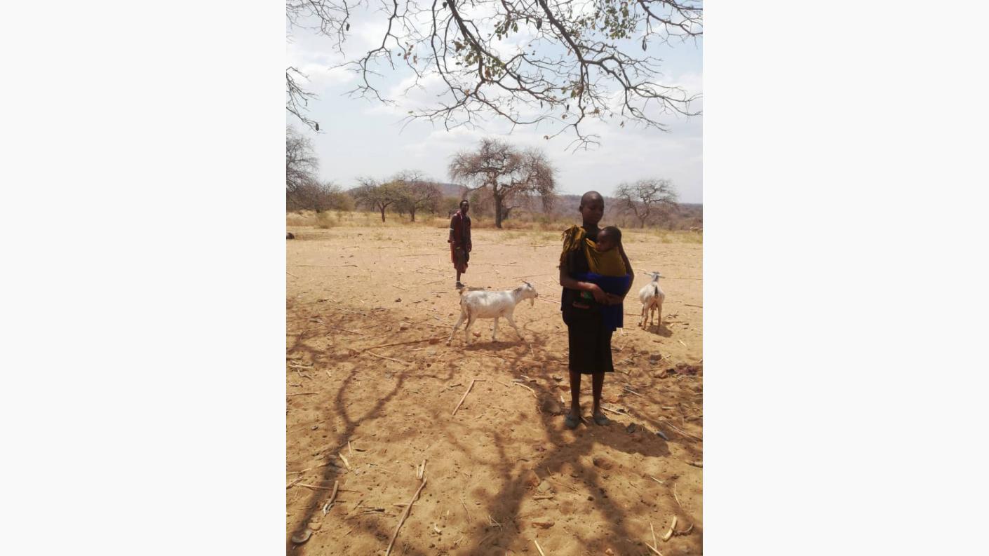 Despre capre ca despre mici comori