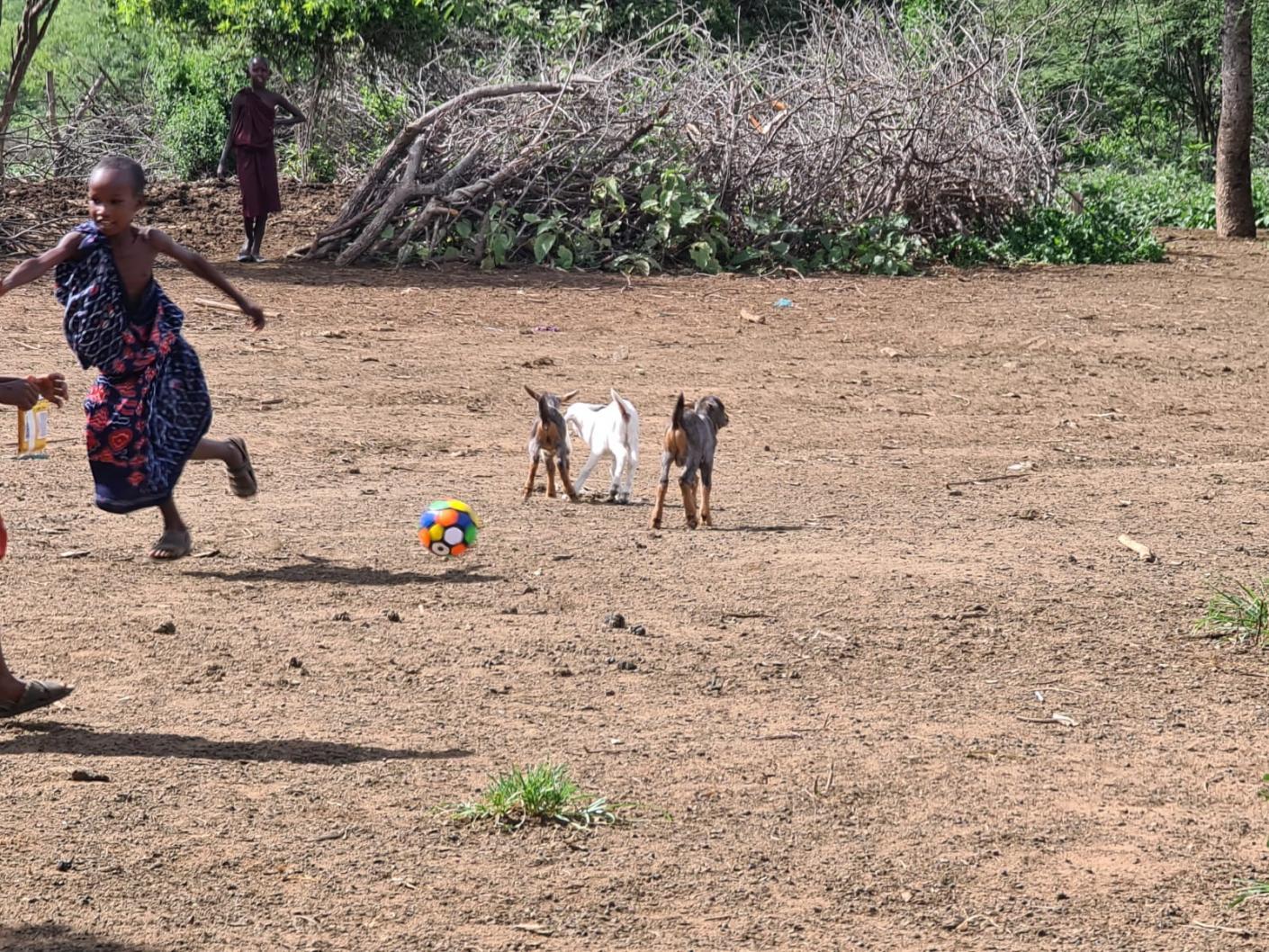 Despre capre ca despre mici comori