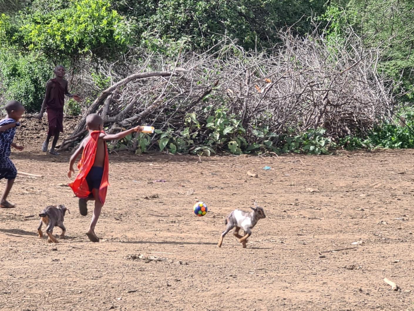 Despre capre ca despre mici comori