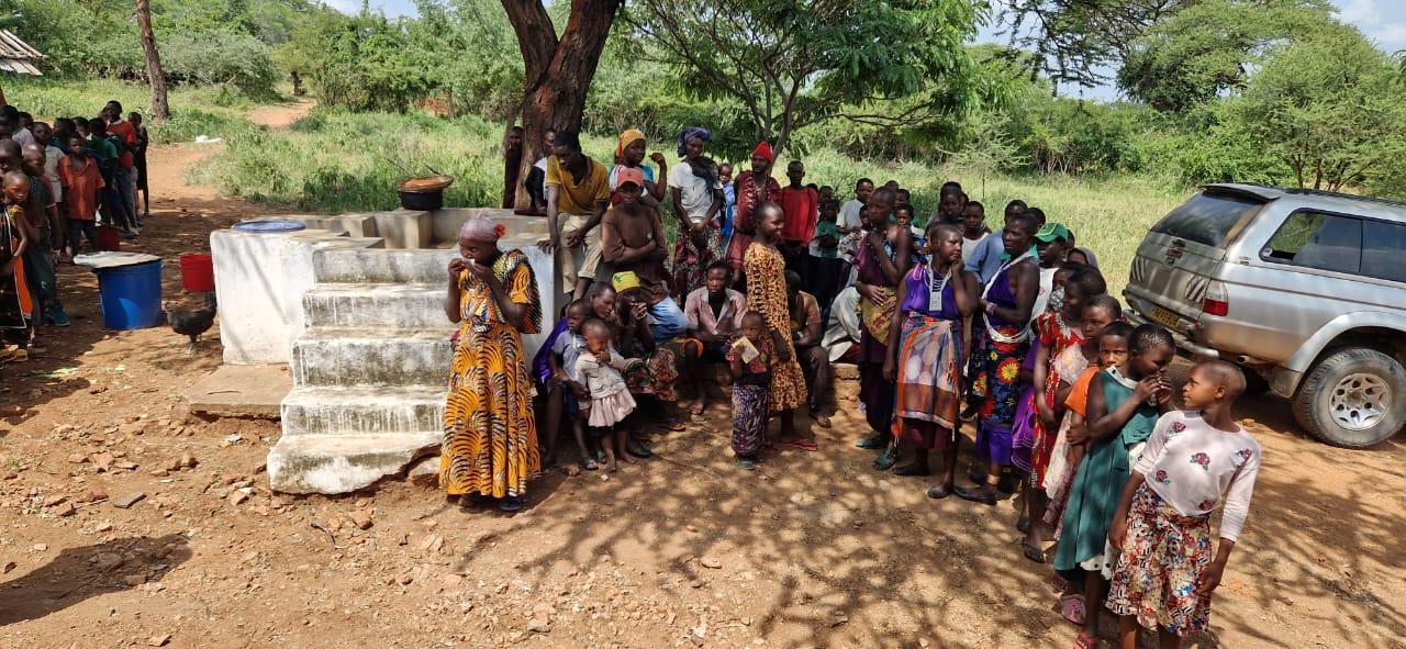 Pâinea... sau cirul nostru cel de toate zilele