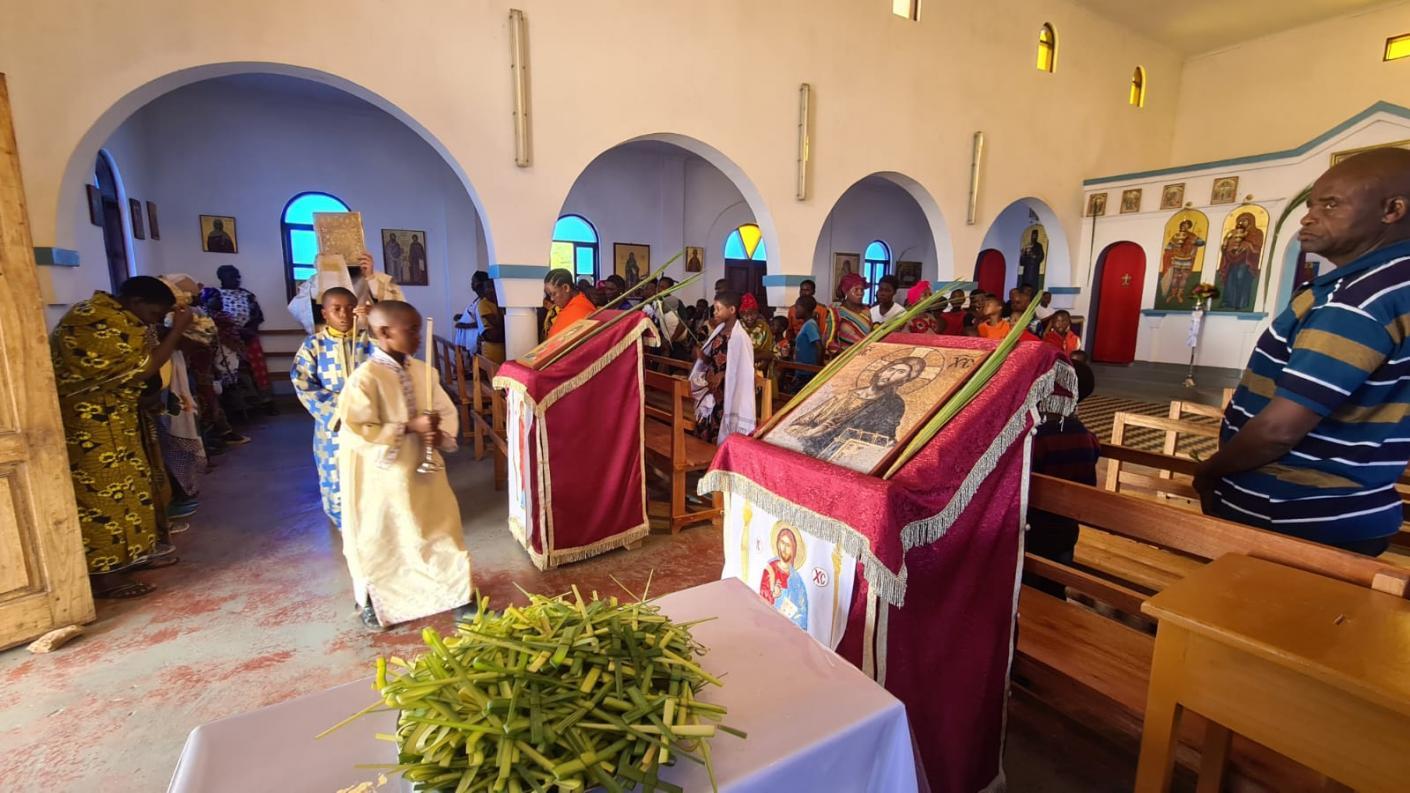 Să înflorim şi prin beton!