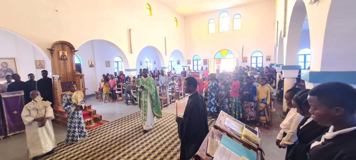 Să înflorim şi prin beton!