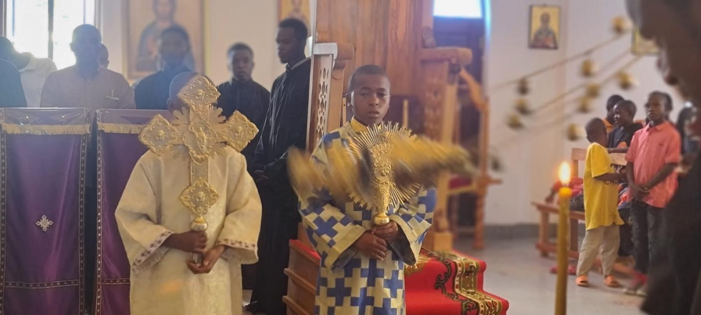 Să înflorim şi prin beton!