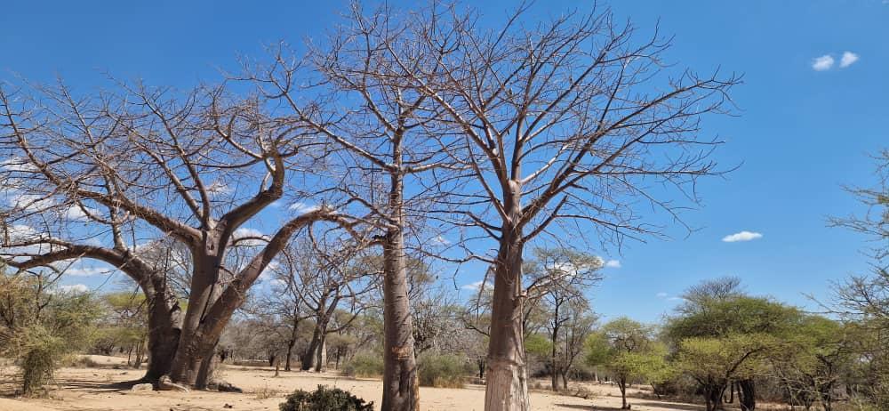 Mafuloto, satul aflat sub ocrotirea Sfântului Ilie