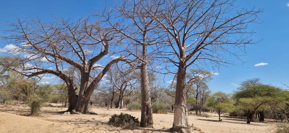 Mafuloto, satul aflat sub ocrotirea Sfântului Ilie