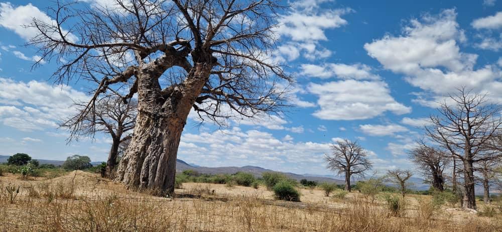 Mafuloto, satul aflat sub ocrotirea Sfântului Ilie