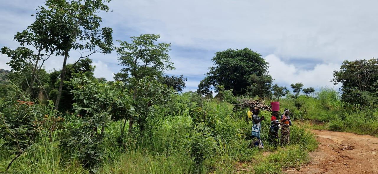 Oameni și stânci de poveste – de la Ibogo la Idangidungu