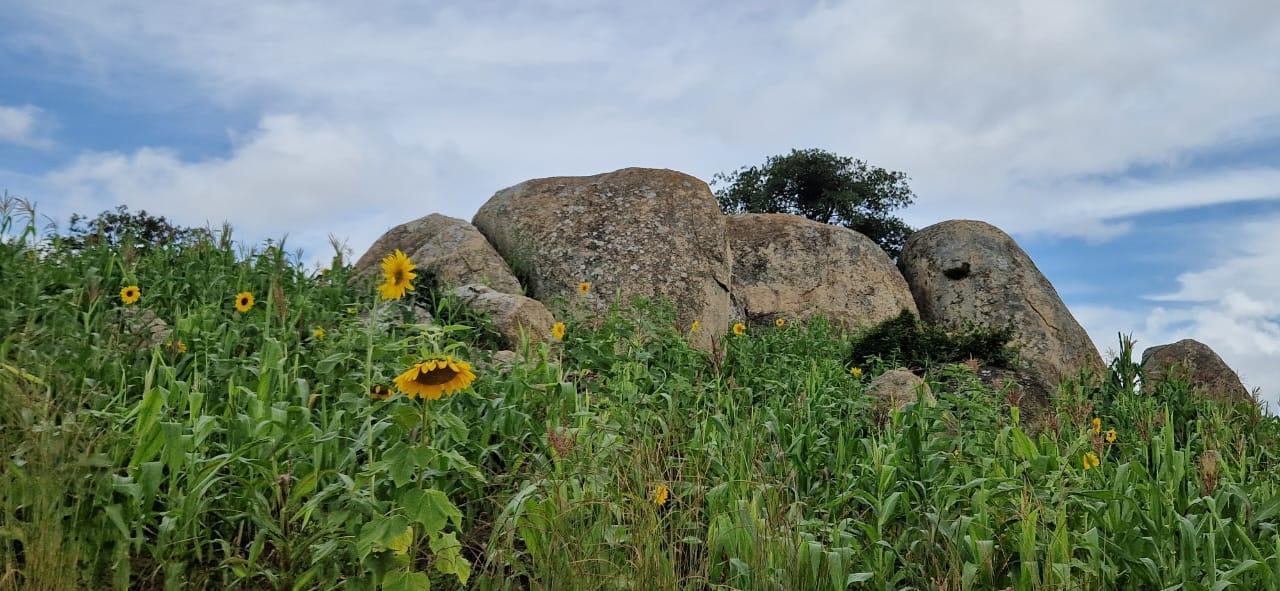Oameni și stânci de poveste – de la Ibogo la Idangidungu