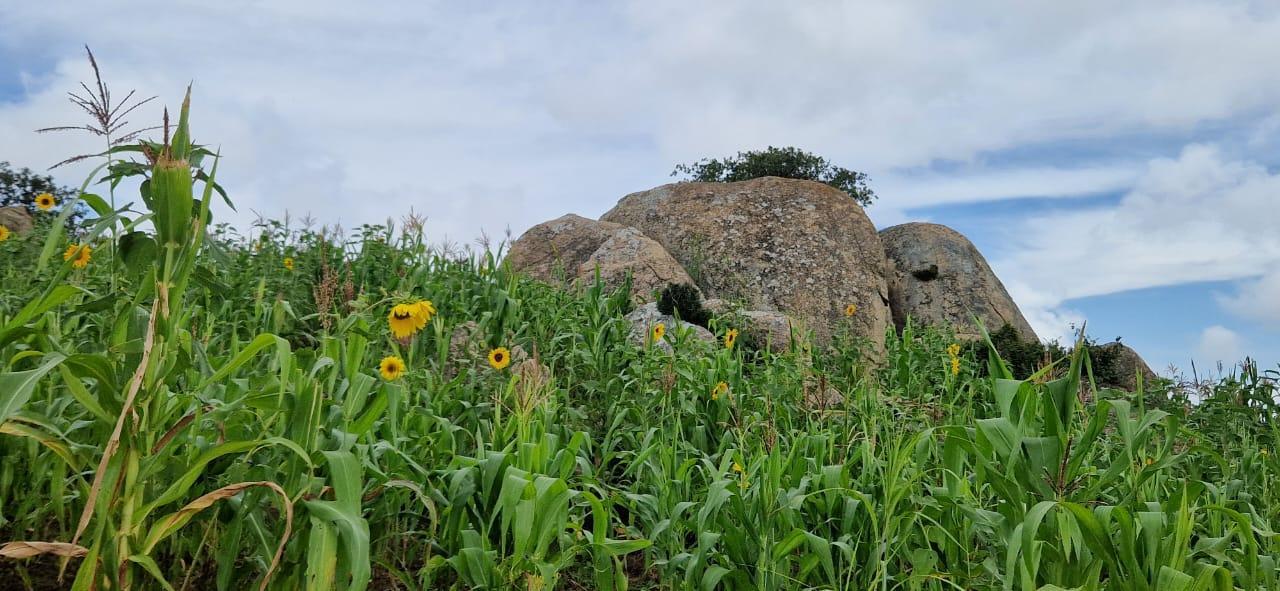 Oameni și stânci de poveste – de la Ibogo la Idangidungu