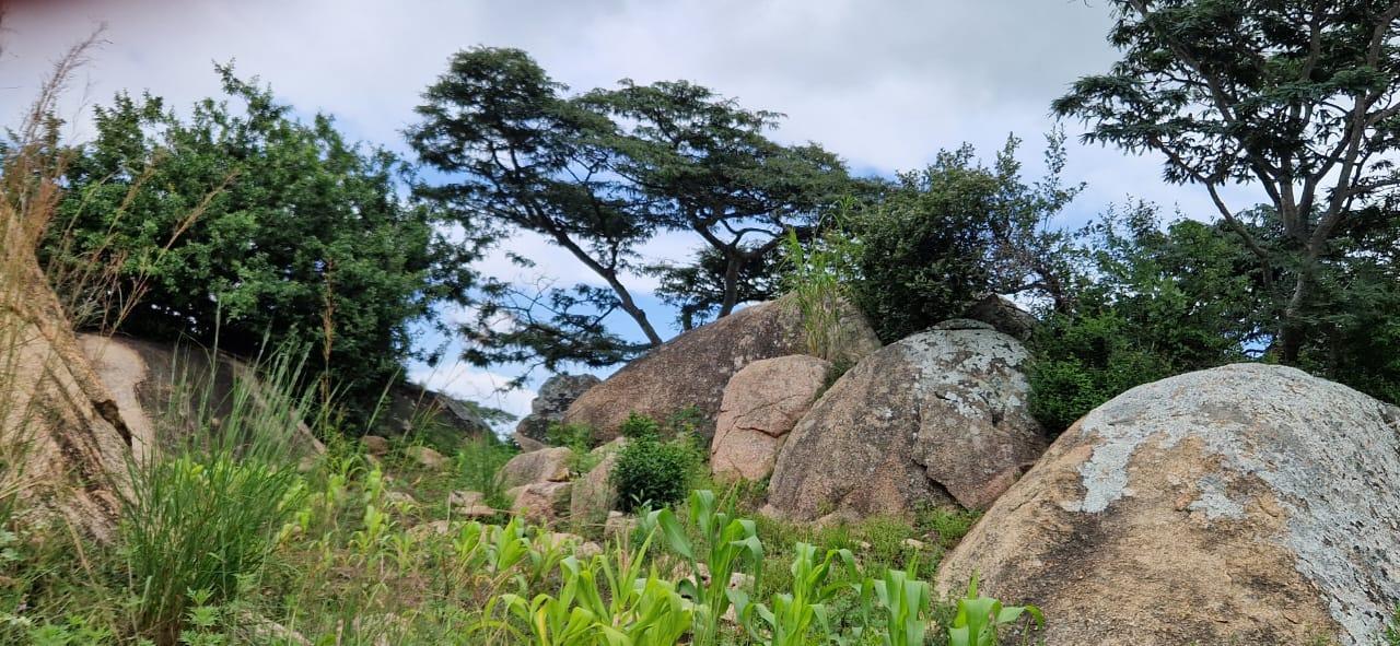 Oameni și stânci de poveste – de la Ibogo la Idangidungu