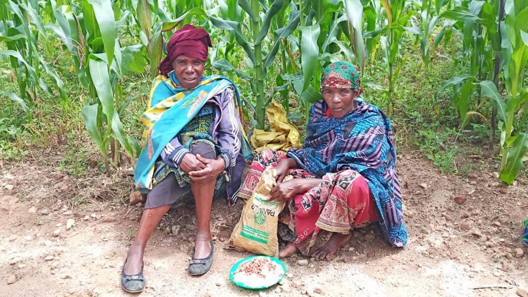 Oameni și stânci de poveste – de la Ibogo la Idangidungu