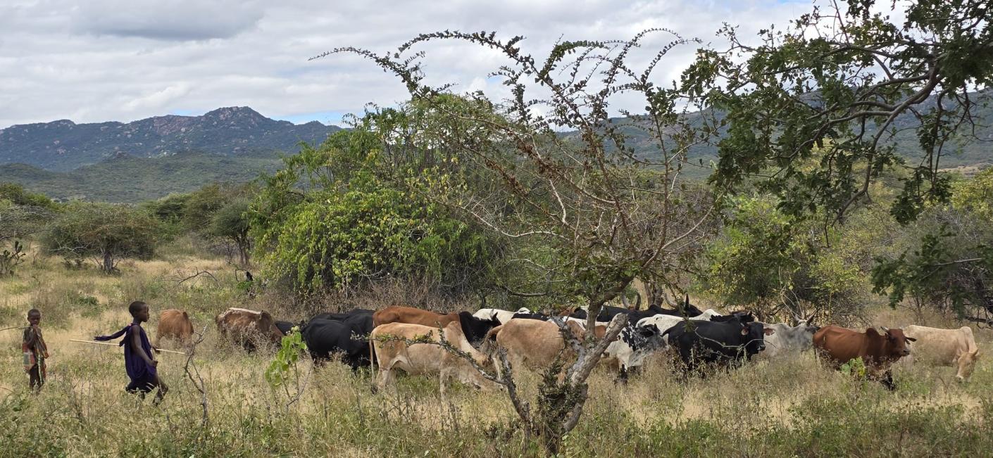 Massaii din Ipwasi, vizitați de Părintele Mitropolit Teofan
