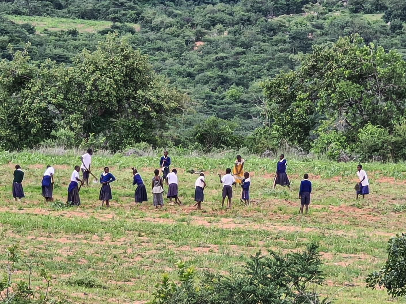 Liceul „Dimitrios” din Magubike – locul unde școala începe cu o sapă