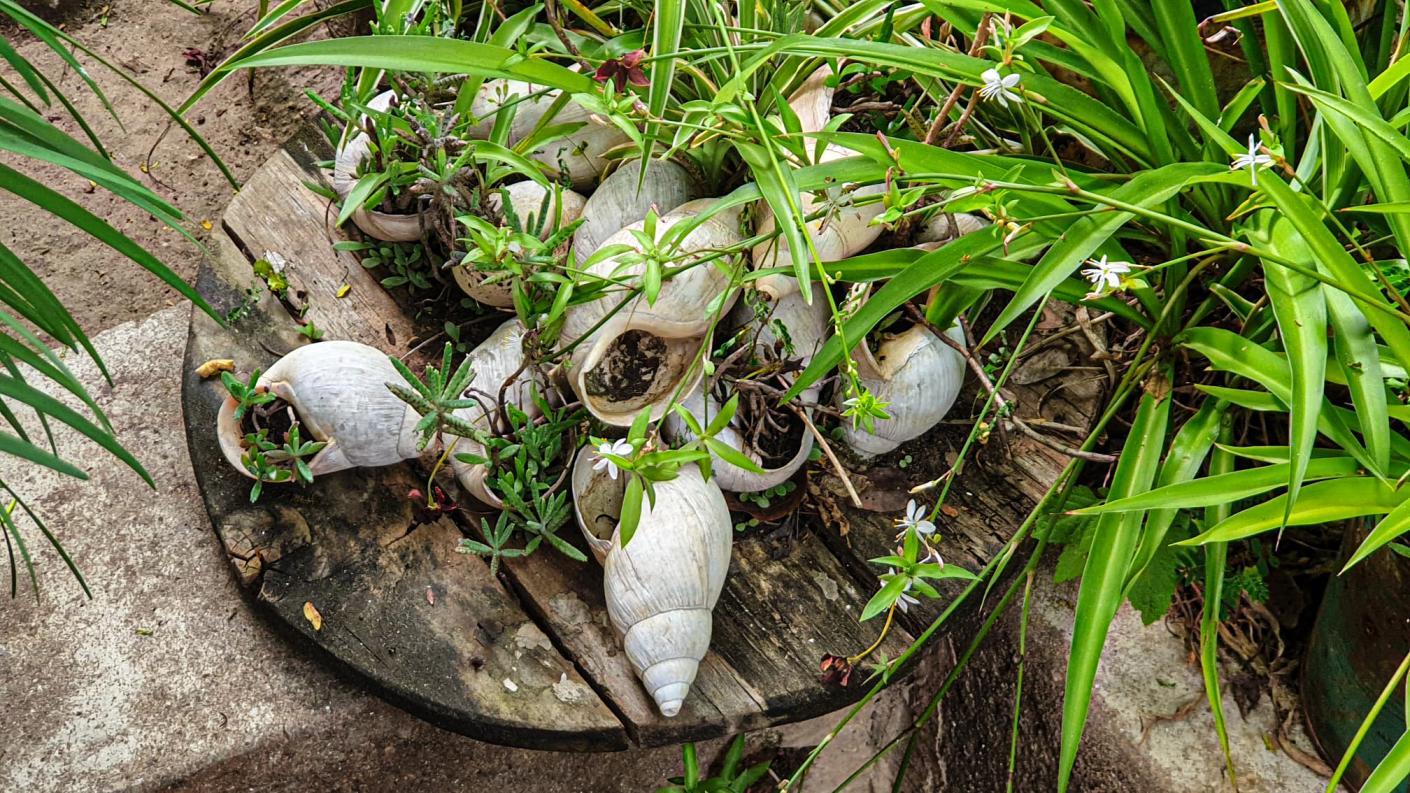 Este și ceva frumos aici?