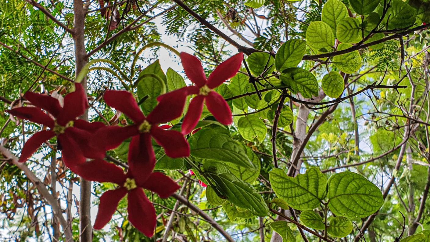 Este și ceva frumos aici?