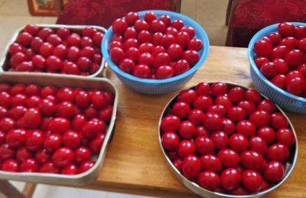 Ouăle roșii – darul nostru de Sărbătoarea Învierii Domnului